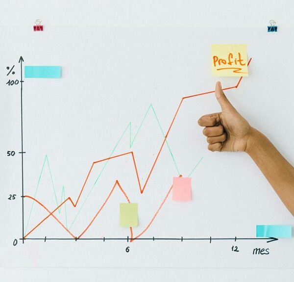 corporate performance forecast bulletin