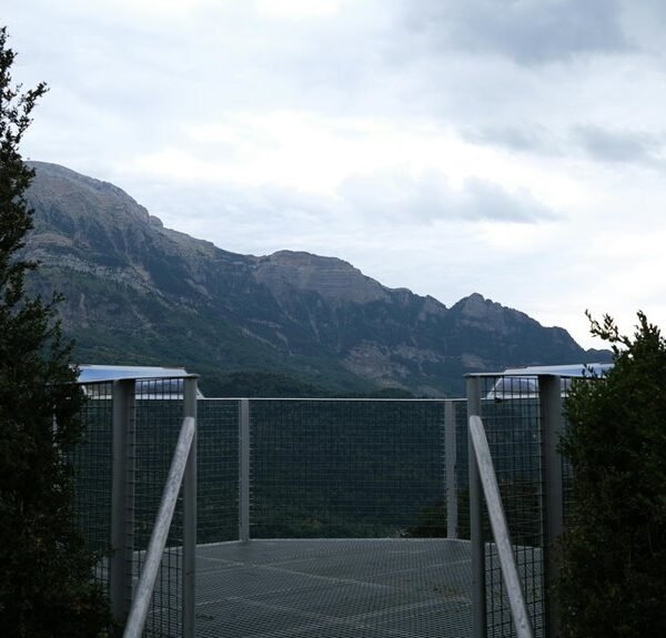 online services platform elevation